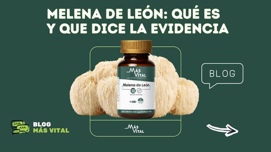 Melena de León (Hericium erinaceus): Qué es, beneficios y qué dice la evidencia
