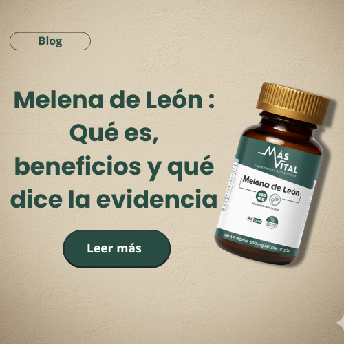 Melena de León (Hericium erinaceus): Qué es, beneficios y qué dice la evidencia